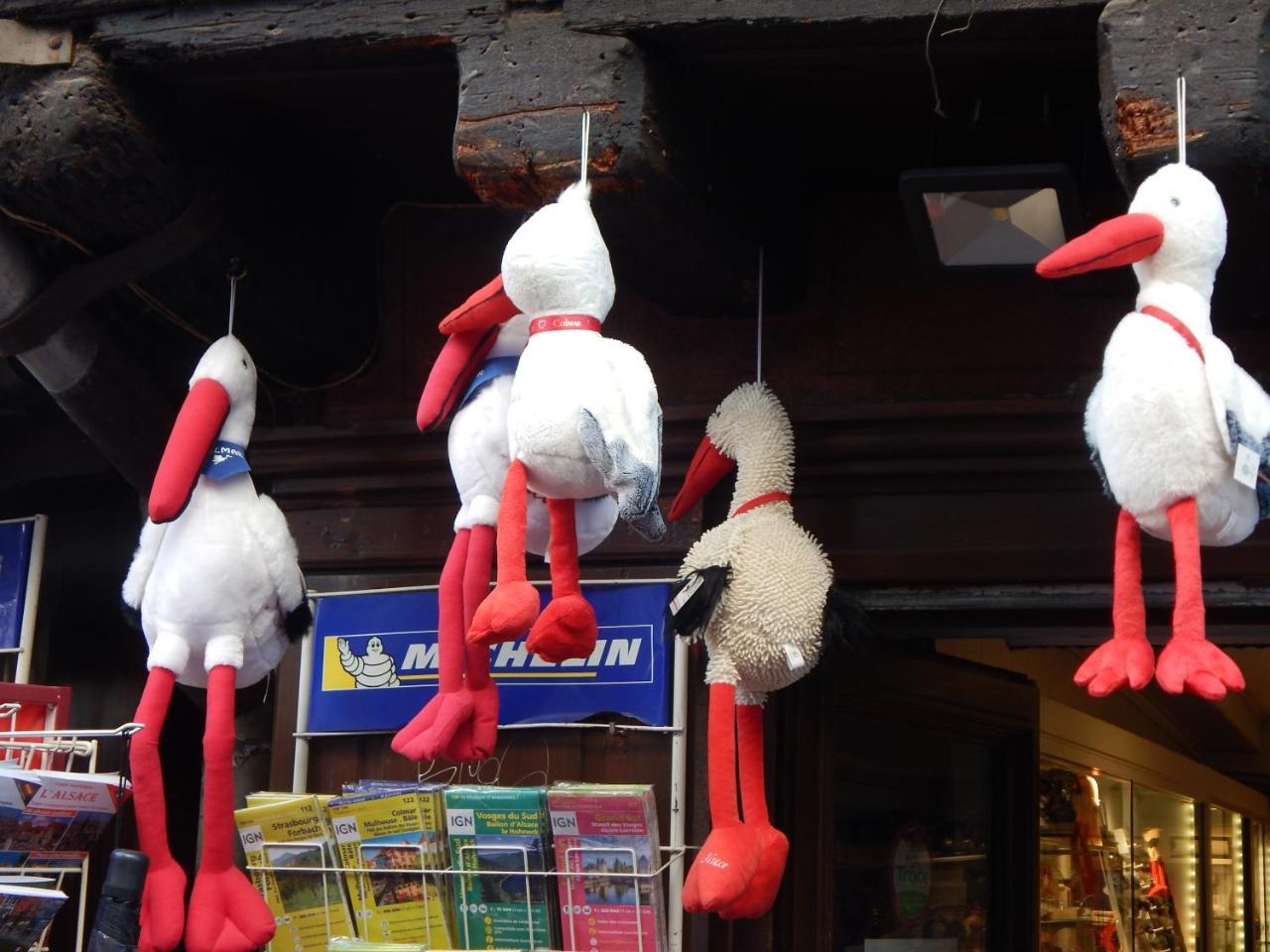 Le Gite Colmar Esterno foto